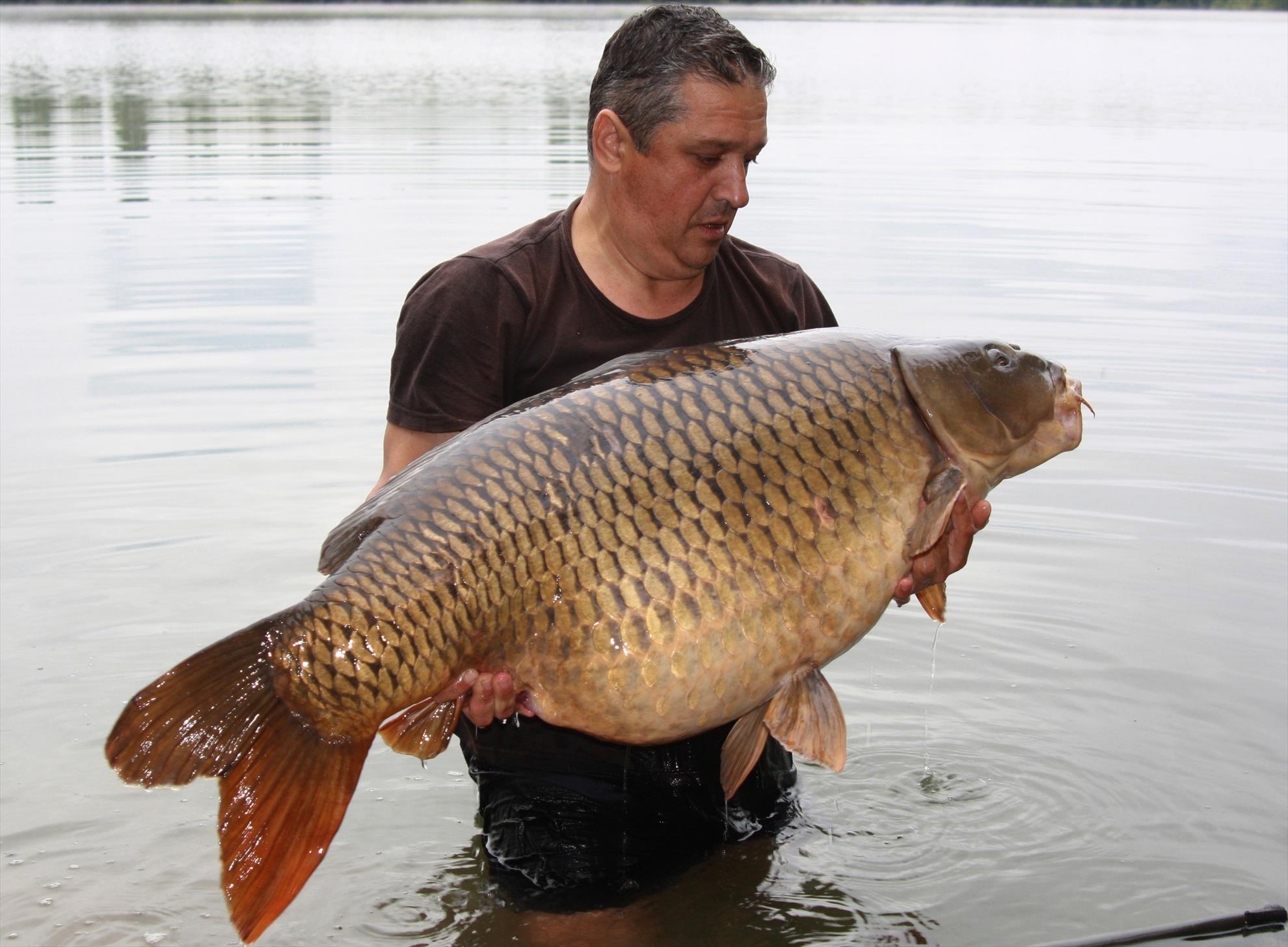 new personal best - 31 kg - img4.JPG